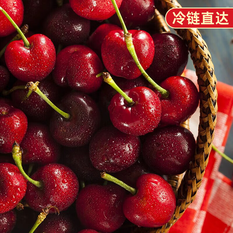 耀好山东大樱桃新鲜樱桃孕妇水果源头直发送礼佳品冷链直达 4.5斤(净重) 冷链发货 【大果】24-28mm