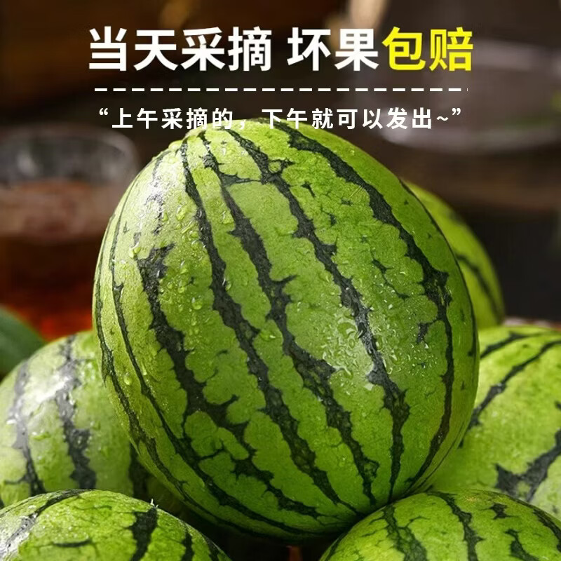 薏品甄鲜正宗山东藤吊2K冰糖小西瓜 小糖丸西瓜新鲜水果 京东快递送礼优选 净重4.5-5斤【2-3枚】