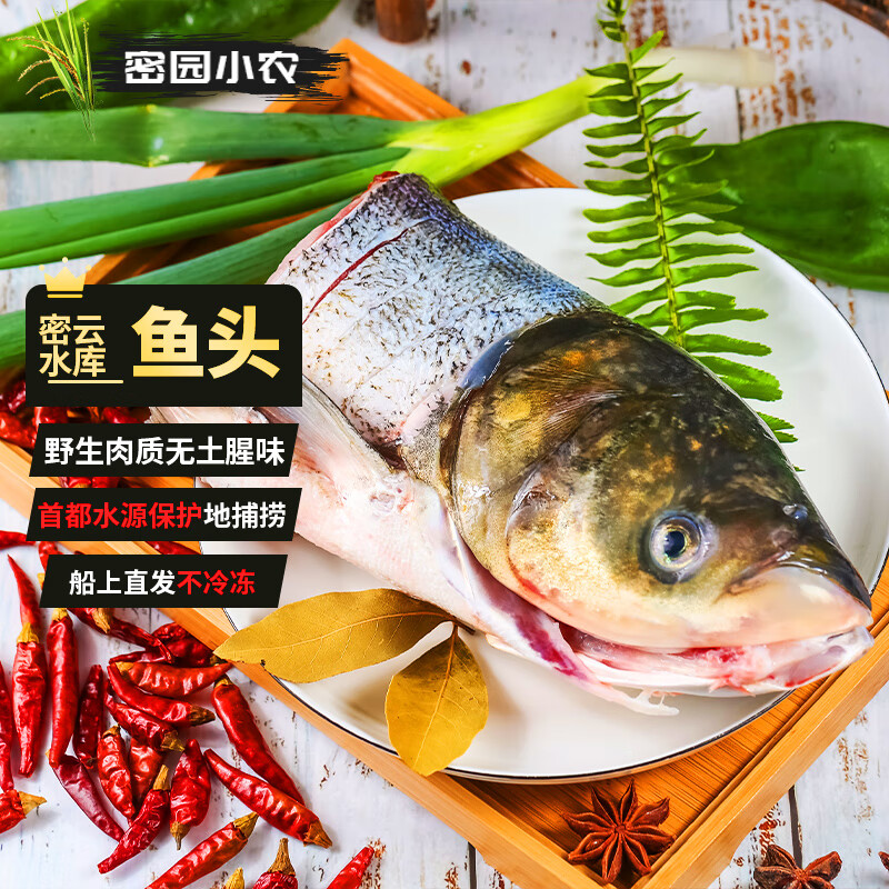 鱼北京密云水库 胖头鱼头花莲现捕淡水花鲢生鲜黄辣丁 胖头【鱼头】