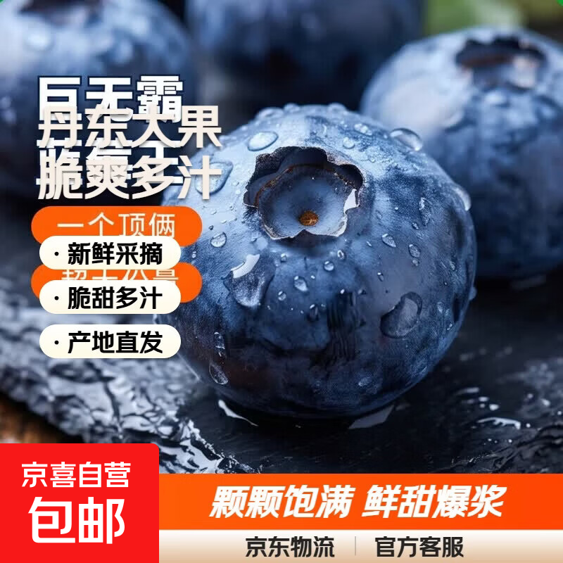 特级丹东粒大脆爽L25大蓝莓4盒 18-20mm+特大果四盒净重450g