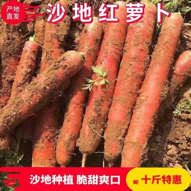 【万亩现挖】沙地红萝卜新鲜胡萝卜蔬菜水果萝卜农家批发生吃脆甜 5斤含箱2两上