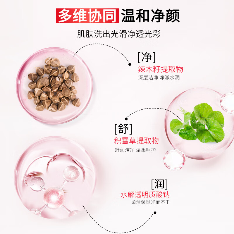 韩后（Hanhoo）红石榴红茶酵素洁颜乳100g 保湿温和清洁面部不紧绷洗面奶男女 【2支更划算】红石榴红茶洁颜乳100g*2