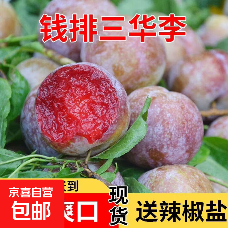 正宗广东钱排三华李新鲜现摘红心李子当季脆甜酸脆孕妇水果2斤装 特大果30-45克带箱250克