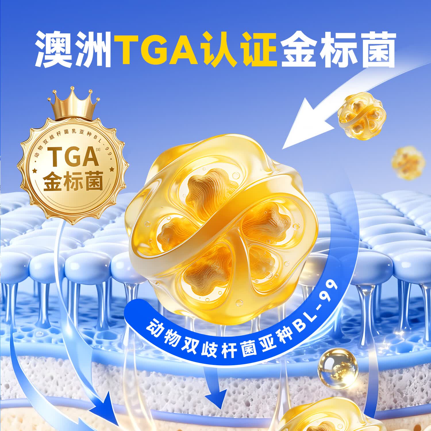 Nutrition Care1200亿益生菌丰盈AKK增强肠胃道便秘菌群通畅成人调理专研BL-99 塑身初体验（ 21瓶*1盒 ）