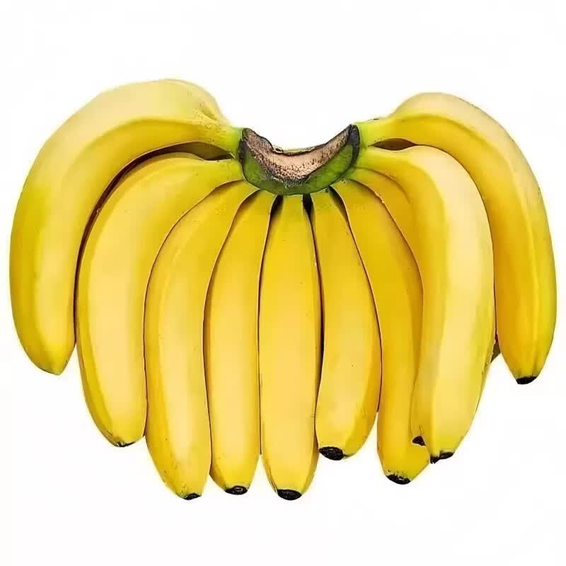 ������ũ���� ��ɽ�㽶 �۽� 9�ﾻ��8.5�� ��������Ȼ�������    14.99Ԫ������9�