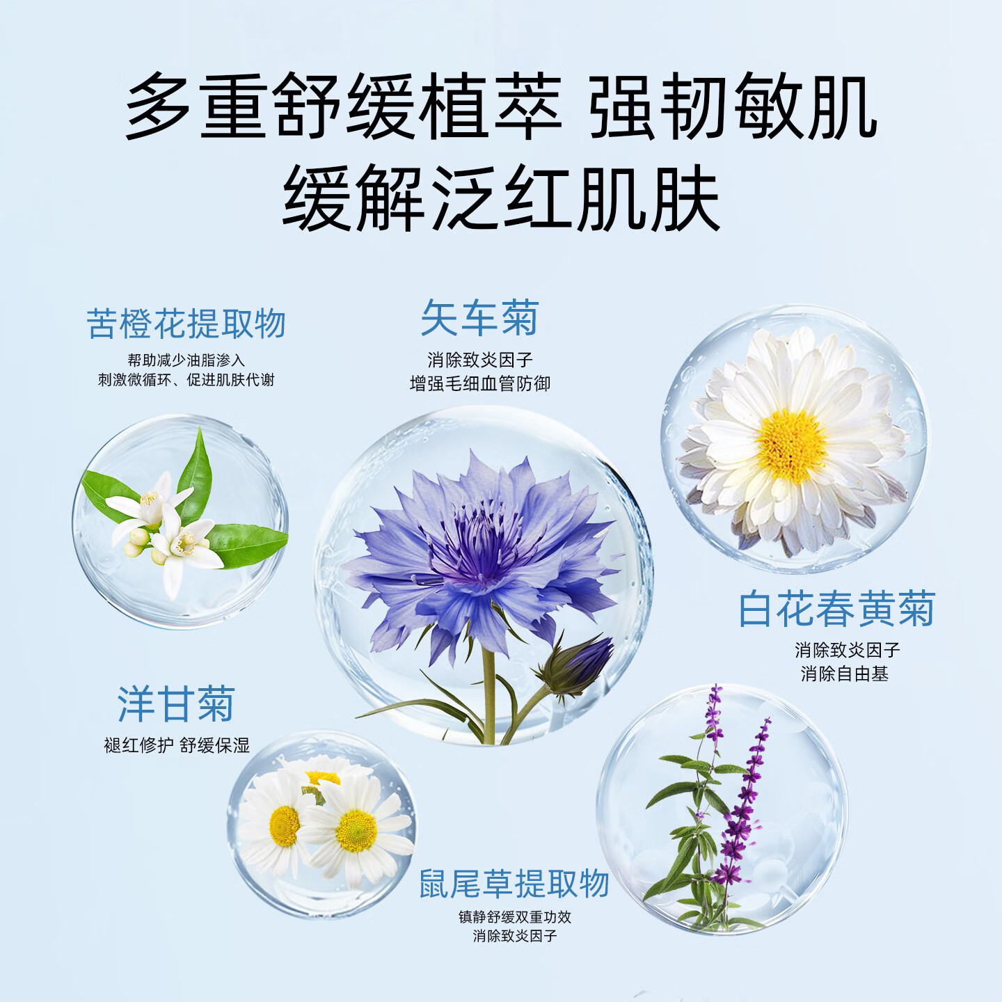 贝纳杜保湿舒缓爽肤水250ml洋甘菊湿敷水金盏花化妆水西班牙进口 250ml（1支）