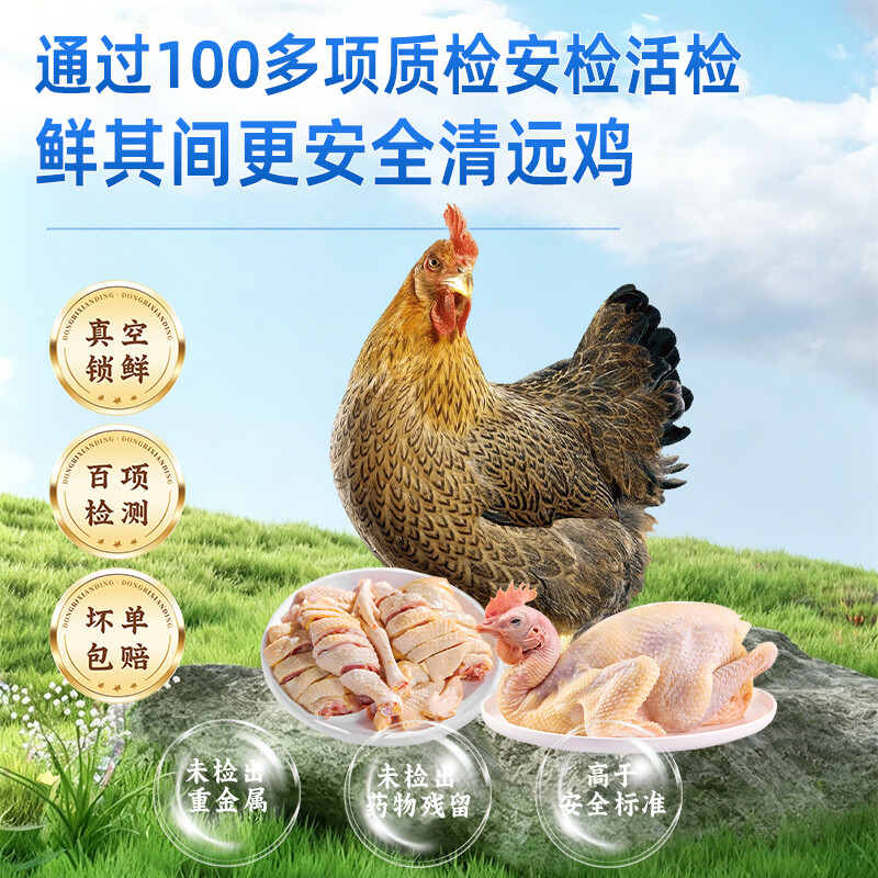 鲜其间【网红莫氏鸡煲】清远鸡新鲜母鸡切块整只走地鸡肉椰子鸡火锅 切好块配套【莫氏鸡煲4-5人份】赠菜心面*2+虫草花*1