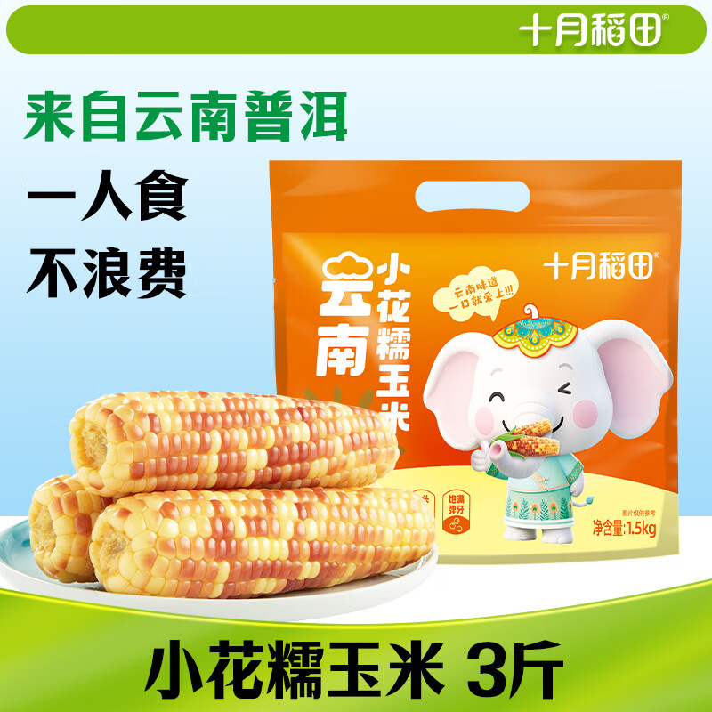 十月稻田 小花糯玉米 3斤(7-12根) 大拇指甜糯玉米 早餐 真空 西双版纳