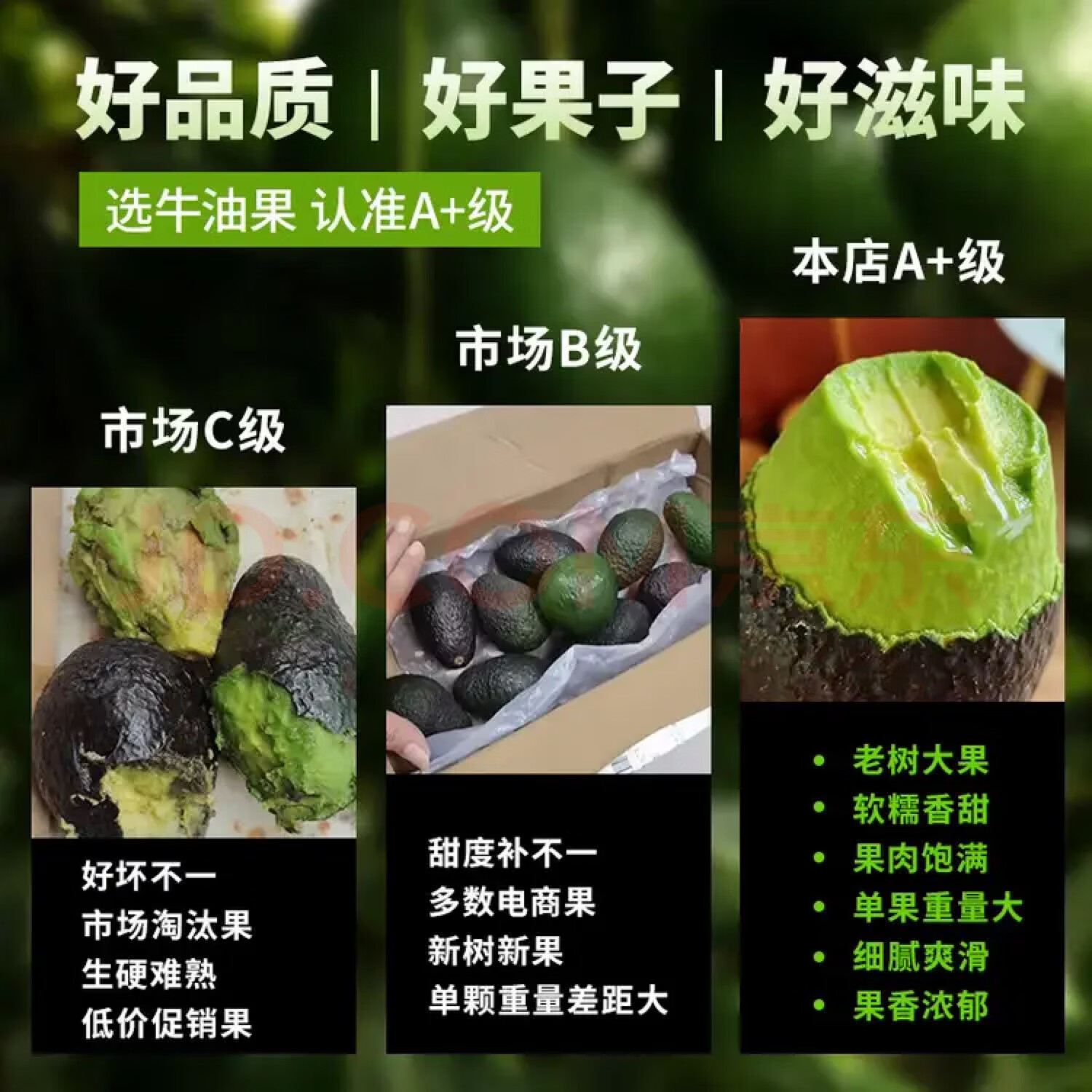 鲁禧海岸哈斯牛油果 新鲜水果 孕婴宝宝健康辅食 健身达人水果 鳄梨 4枚装 精品中果100g-130g【性价比高】