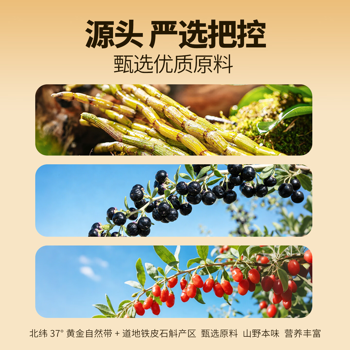 威门（warmen）石斛发酵液枸杞原浆 富含枸杞多糖 红黑枸杞原浆饮节日送长辈礼物 石斛枸杞原浆红黑双饮 30ml*40袋 赠两袋免费试用