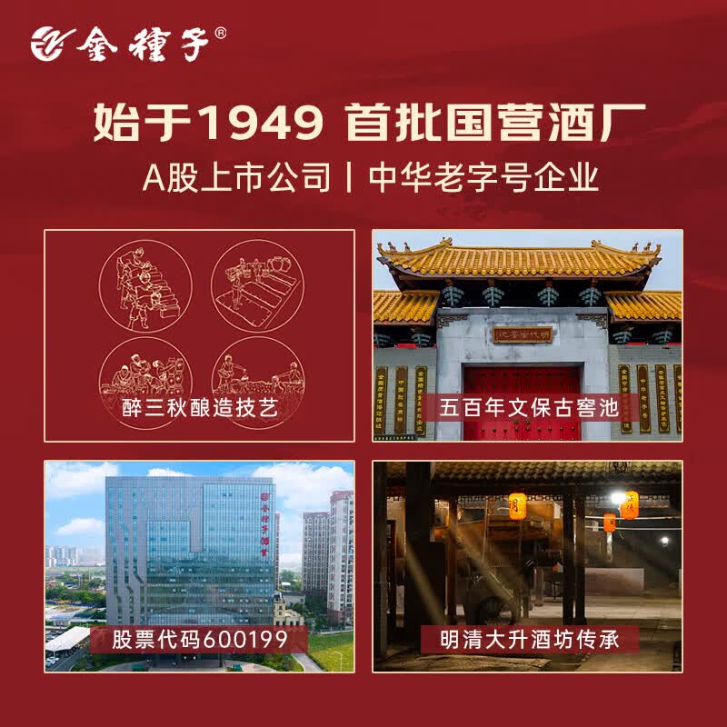 金种子42度种子酒 460ml*6瓶浓香型白酒整箱装自饮聚会纯粮酿造口粮酒 42度 460mL 6瓶 （原箱）
