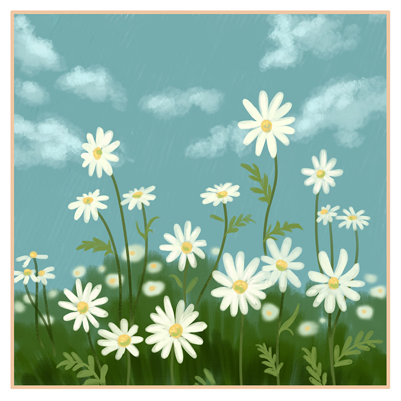 美岸(meian)小雏菊数字油画diy花卉填充油彩手工手绘填色治愈装饰初学