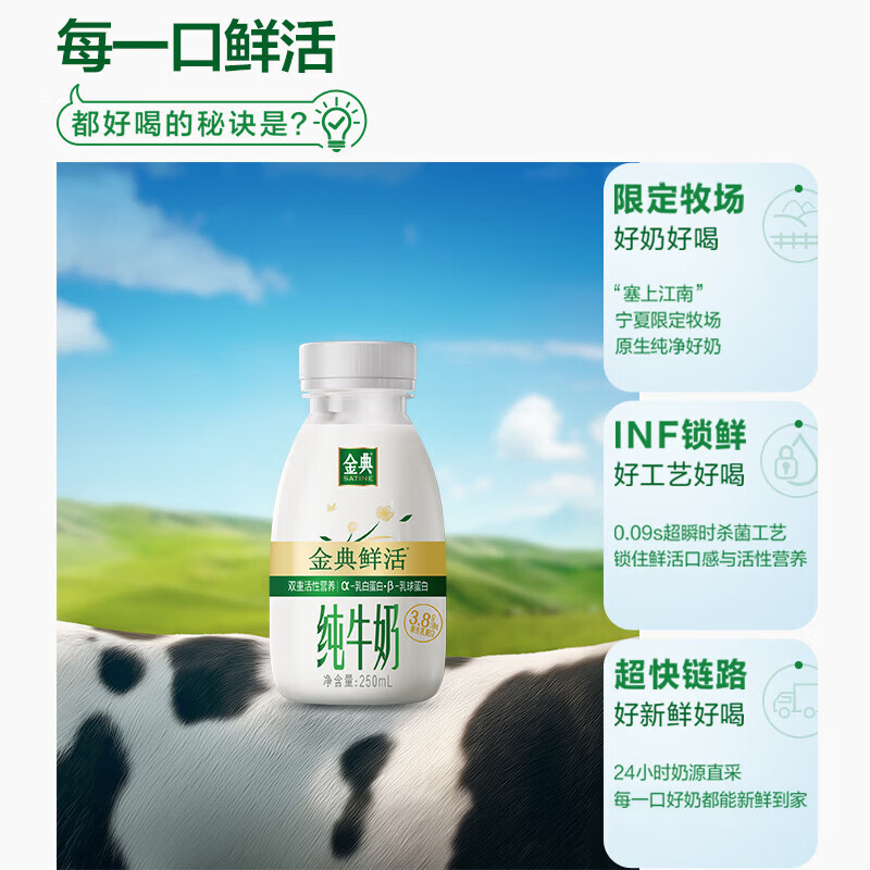 伊利金典3.8g乳蛋白鲜活纯牛奶250ml*8 30天常温短保 礼盒装
