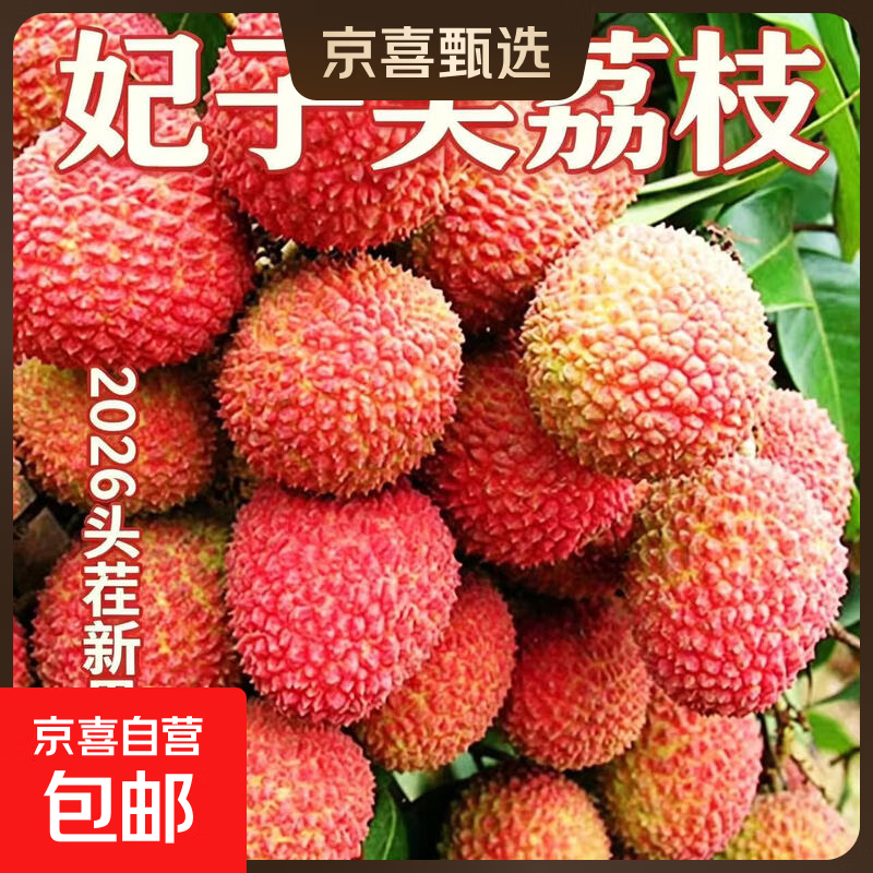 部分预售包邮小核荔枝正宗海南妃子笑荔枝当季整箱产地新鲜水果 5斤（净重4斤起）单果12-15g