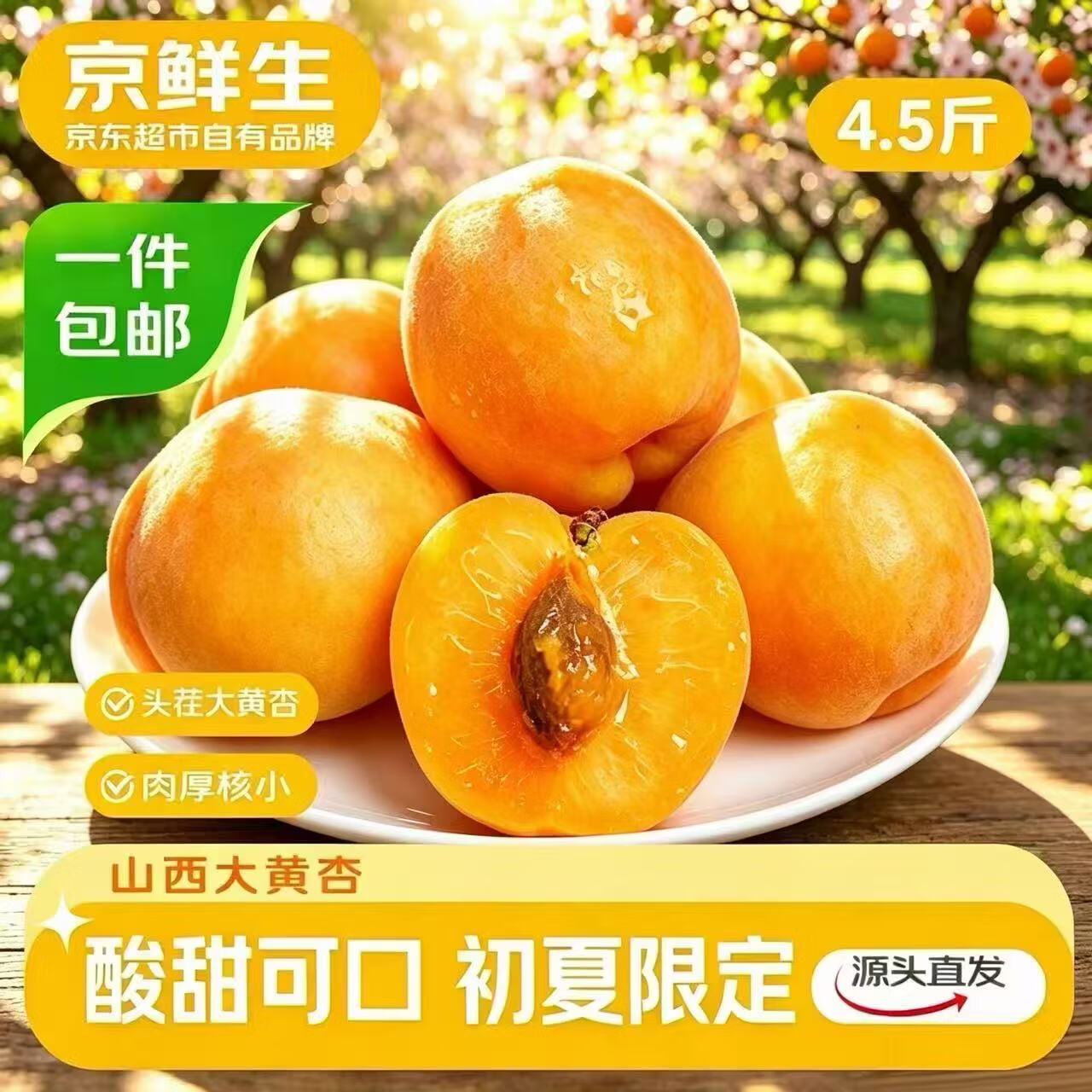 自营京鲜生山西大黄杏净重4.5斤 单果45g 24.9元 - 线报酷