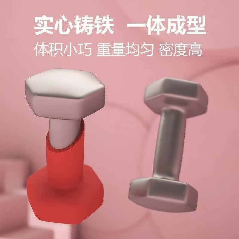 哑铃女士健身家用器材哑铃男士健身家用器材实心家用哑铃2kg一对 紫色 0.5kg仅一只