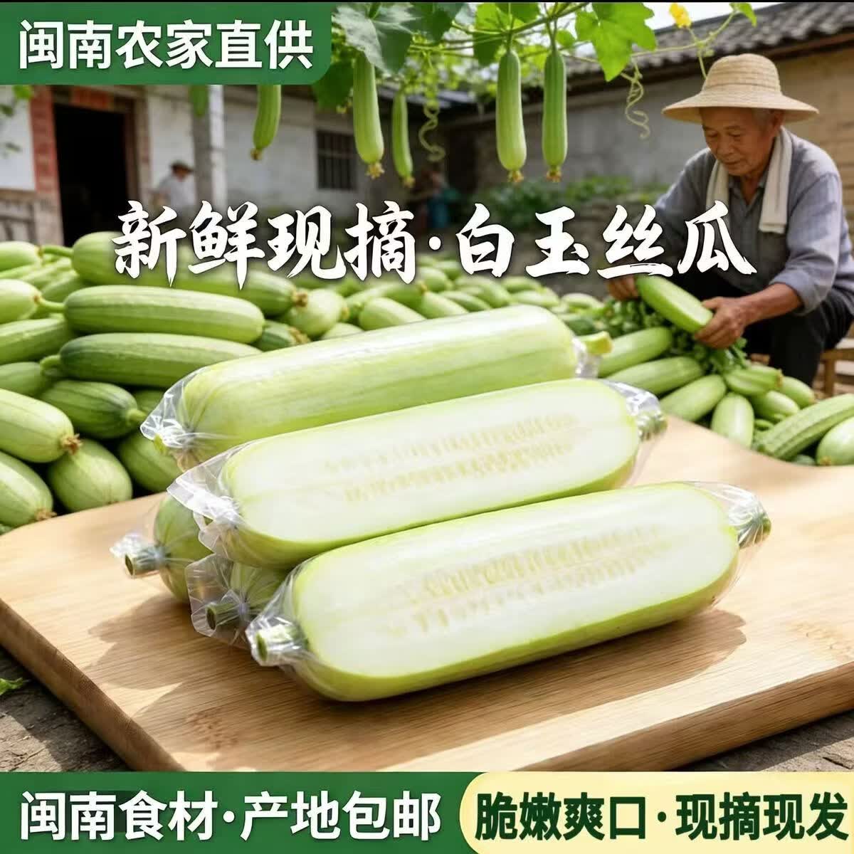福建奶油白玉丝瓜翠玉丝瓜软糯清甜 奶油白玉丝瓜净重5斤 5斤 京东折扣/优惠券