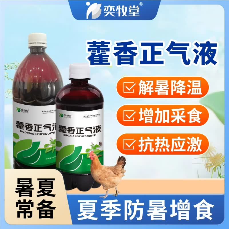 奕牧堂兽用藿香正气液清热解暑增食欲抗应激鸡鸭鹅牛羊猪通用【大瓶装】 【藿香正气液】1瓶 1000ml