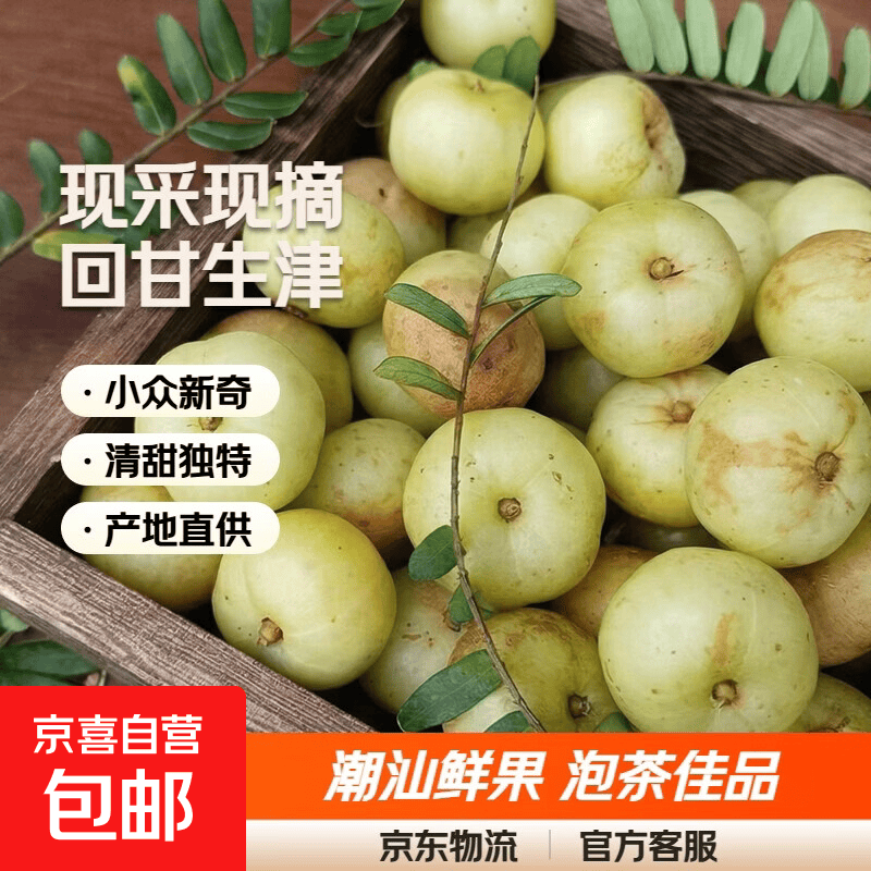 潮汕油柑果油甘果新鲜水果现采现摘泡茶煲汤回甘 带箱2斤