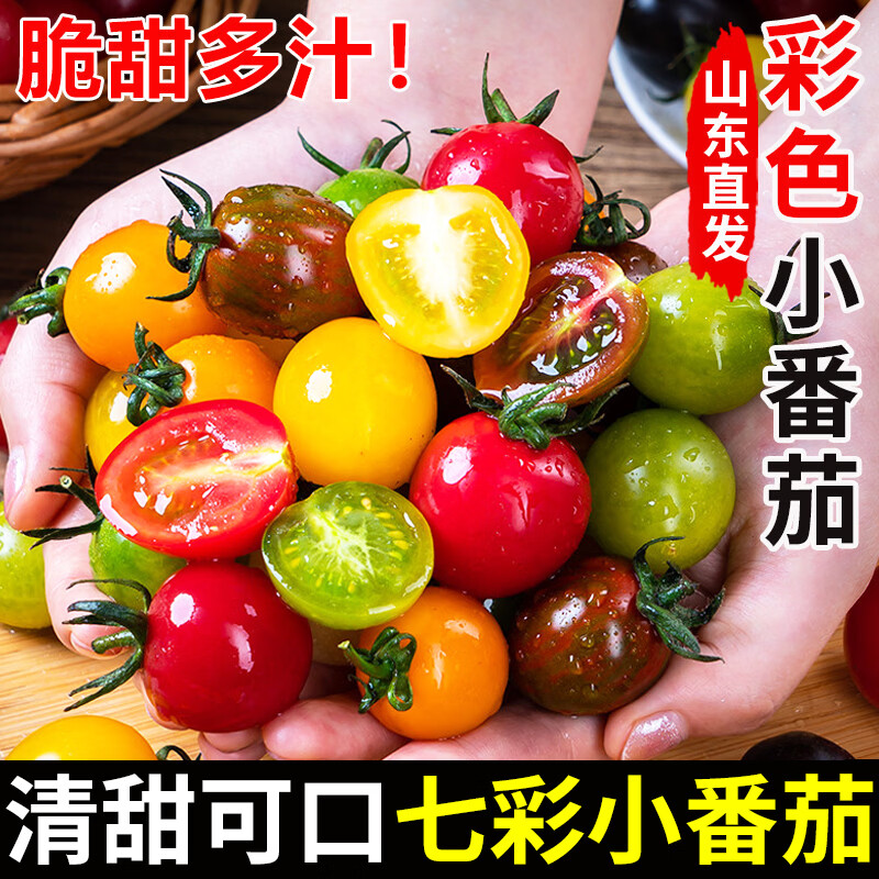 知鲜湾山东七彩小番茄新鲜现摘现发彩色小柿子清甜多汁圣女果混合装水果 彩色圣女果【6-7色混装】 3斤