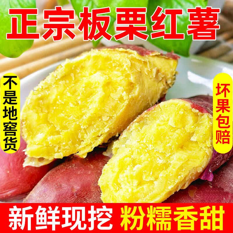 樱鲜 正宗板栗红薯【闪送-多地次日达】板栗红薯粉糯香甜地瓜番薯好吃 5斤甄选S+果【老农手挑】净重4.5斤