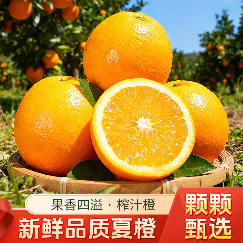 天乐优选广西夏橙净重9斤 17.9元 - 线报酷