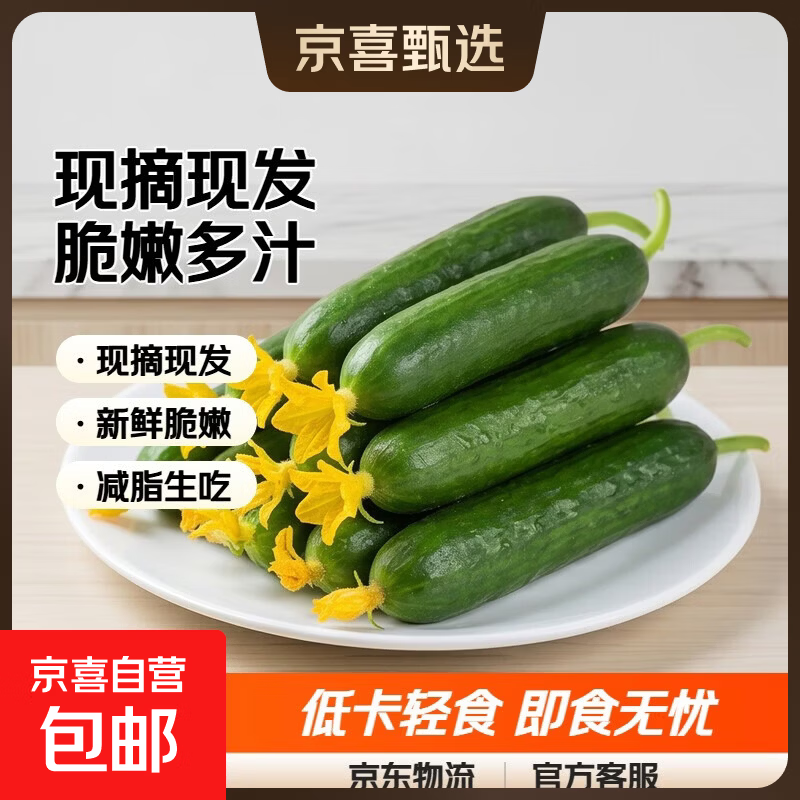 京喜加【东东买菜】现摘现发新鲜小黄瓜瘦身减脂荷兰黄瓜蔬菜生鲜生吃 黄瓜新鲜带箱 2斤