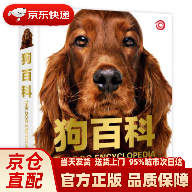 【新华正版图书】DK狗百科