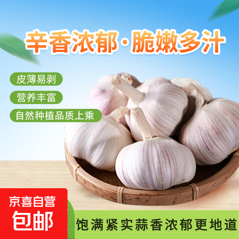 【超高品质】山东紫皮干大蒜蒜香浓郁蒜蓉凉拌必备调味大果好剥皮 净重三斤