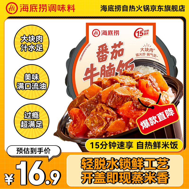 海底捞自热米饭方便速食大分量午餐夜宵自热鲜米饭番茄牛腩饭370g