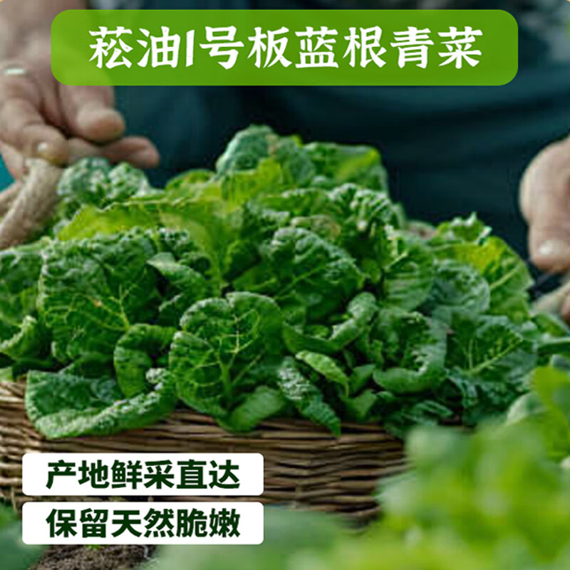 王继莲 小笼半成品超市老面儿童早餐食品速食馒头速冻早点包子杭州鲜肉小笼包 【32只】板蓝根青菜笋丁200g*4袋