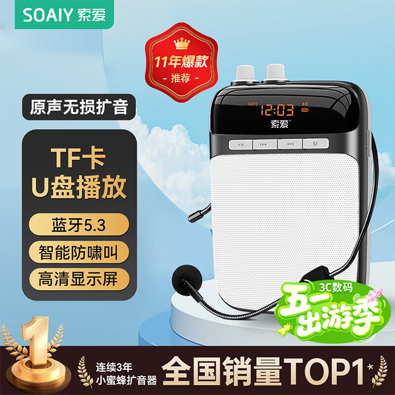 索爱（soaiy）S318小蜜蜂扩音器教师专用蓝牙音箱音响小喇叭TF卡U盘录音麦克风户外导游便携式教学Type-c 黑