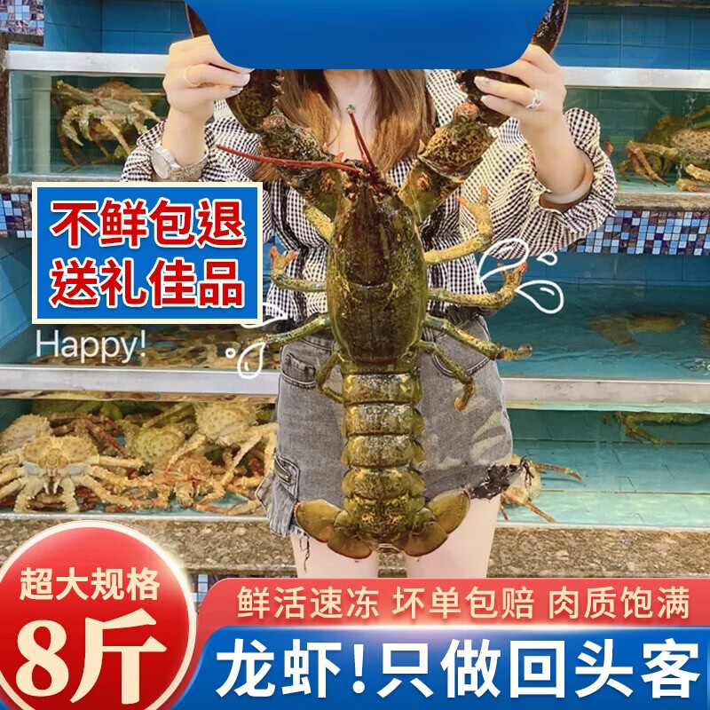 波士顿大龙虾【还可以发货】龙虾鲜活冷冻海鲜水产特大波龙澳龙虾 25-100cm 活冻品质酒店 550g