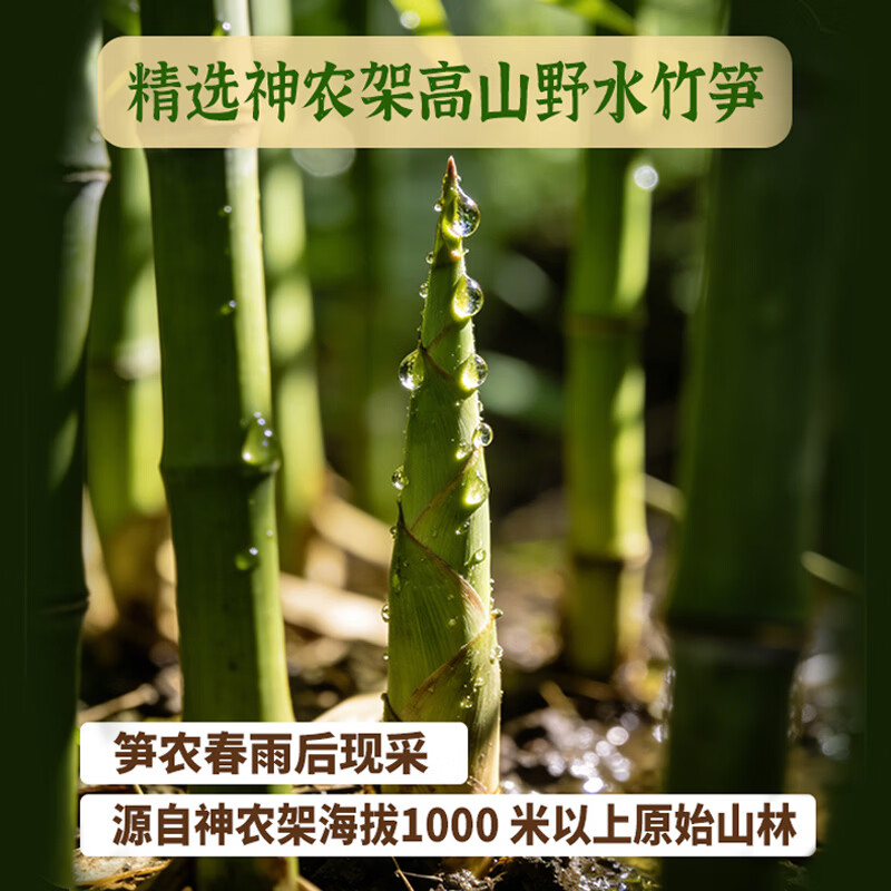 王继莲 小笼半成品超市老面儿童早餐食品速食馒头速冻早点包子杭州鲜肉小笼包 【32只】板蓝根青菜笋丁200g*4袋