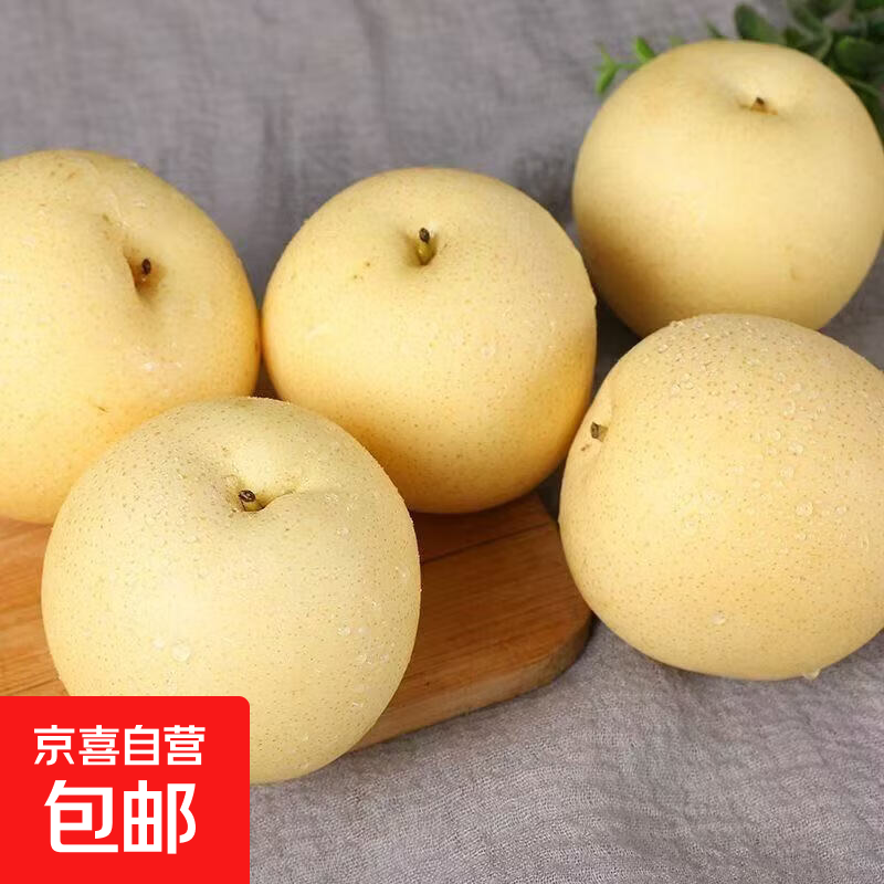 京喜加河北赵县白皇冠梨新鲜水果黄冠梨精品水果 带箱2斤装【单果150g+】小果试吃