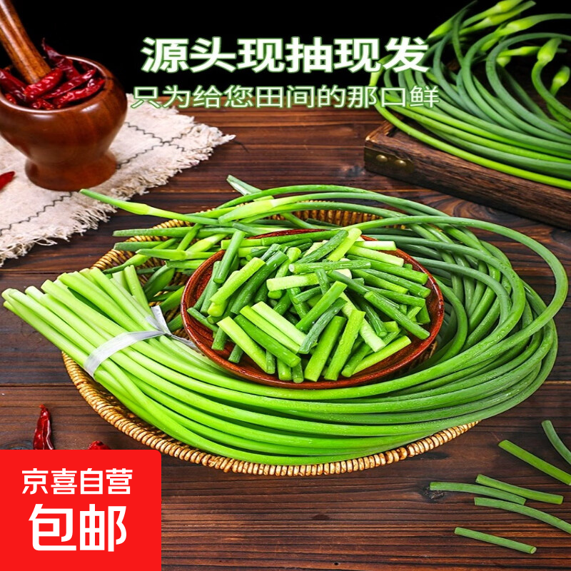新鲜红帽蒜薹现摘现发农家自种蒜苔蔬菜产地直发炒菜咸菜时令蔬菜 1斤