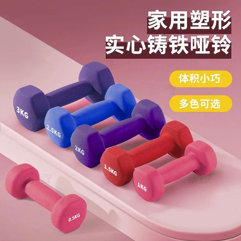 哑铃女士健身家用器材哑铃男士健身家用器材实心家用哑铃2kg一对 紫色 0.5kg仅一只