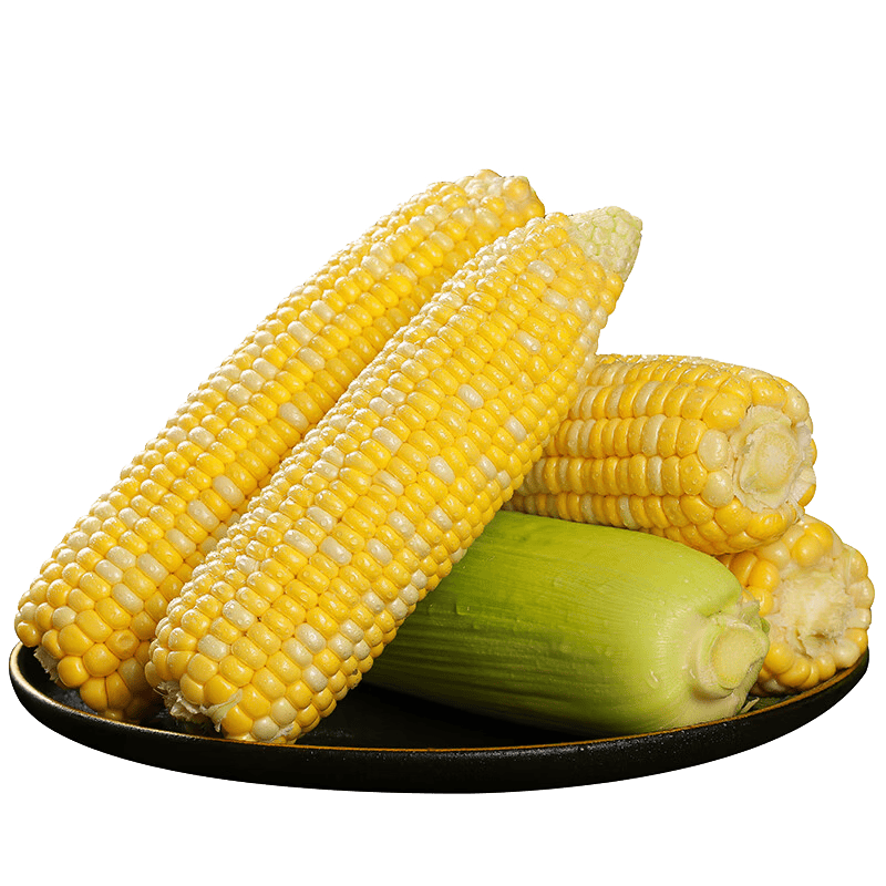 京觅云南金银双色鲜水果玉米 6根 单果300g+ 新鲜蔬菜生鲜 源头直发