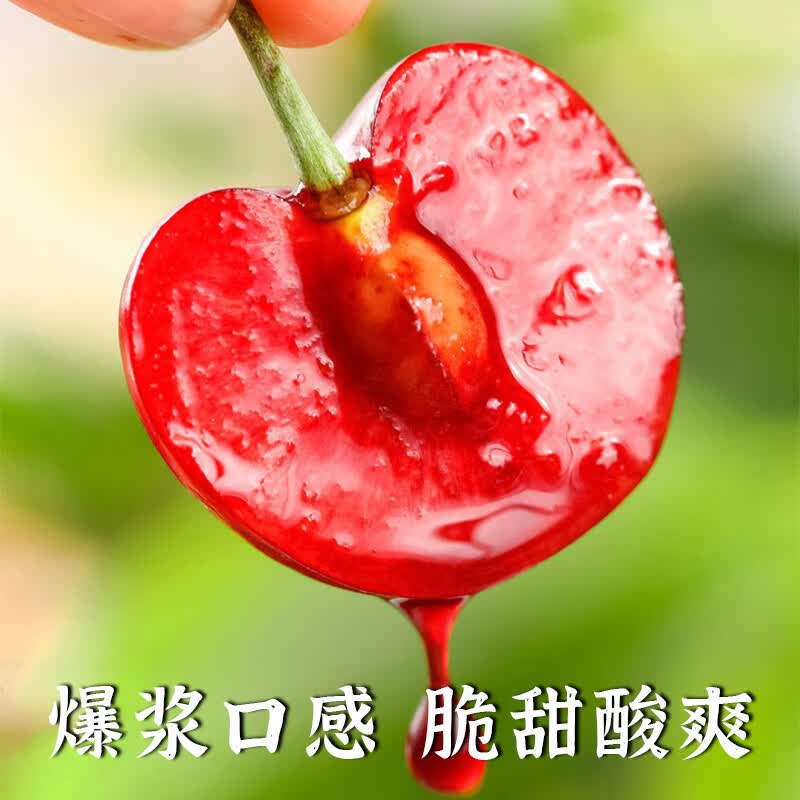 东鲜丰山东大樱桃新鲜车厘子樱桃水果实惠装送礼山东特产 4斤(净重) 单果【20-26mm】