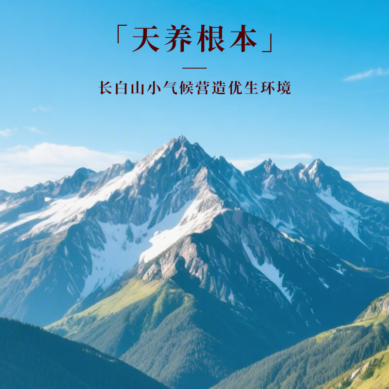 长白山人参全须生晒参 活性参礼品盒装 全须生晒参 20g*4盒 共10-12支