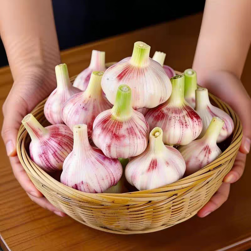 2026年紫皮大蒜新鲜湿蒜 蒜香十足 生鲜蔬菜 净重3斤