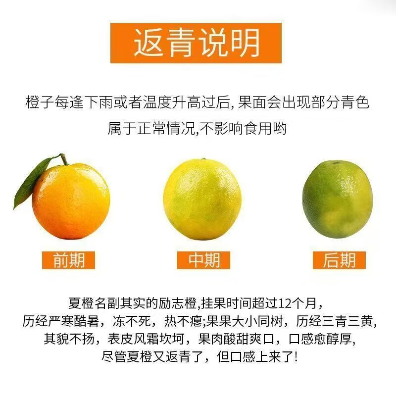 天乐优选广西夏橙榨汁橙橙子有点酸新鲜现摘水果脐橙时令生鲜水果酸口橙 整箱10斤单果约140g净重9斤