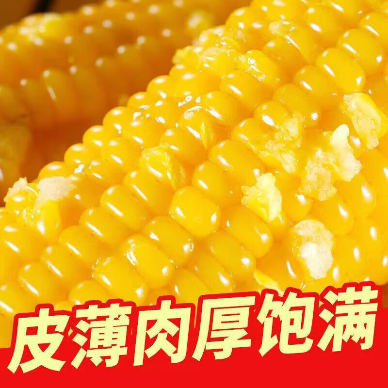 内蒙古巴彦淖尔沙漠甜糯玉米新鲜糯玉米真空包装加热即食 内蒙古 巴彦淖尔黄糯玉米220g*10根(2025)