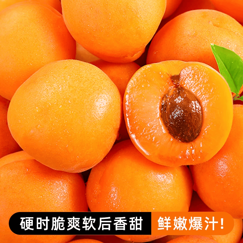 正鲜季(ZHENGXIANJI)陕西大黄杏当季新鲜采摘时令水果生鲜微黄头茬杏子整箱酸甜水果 【量贩装】5斤