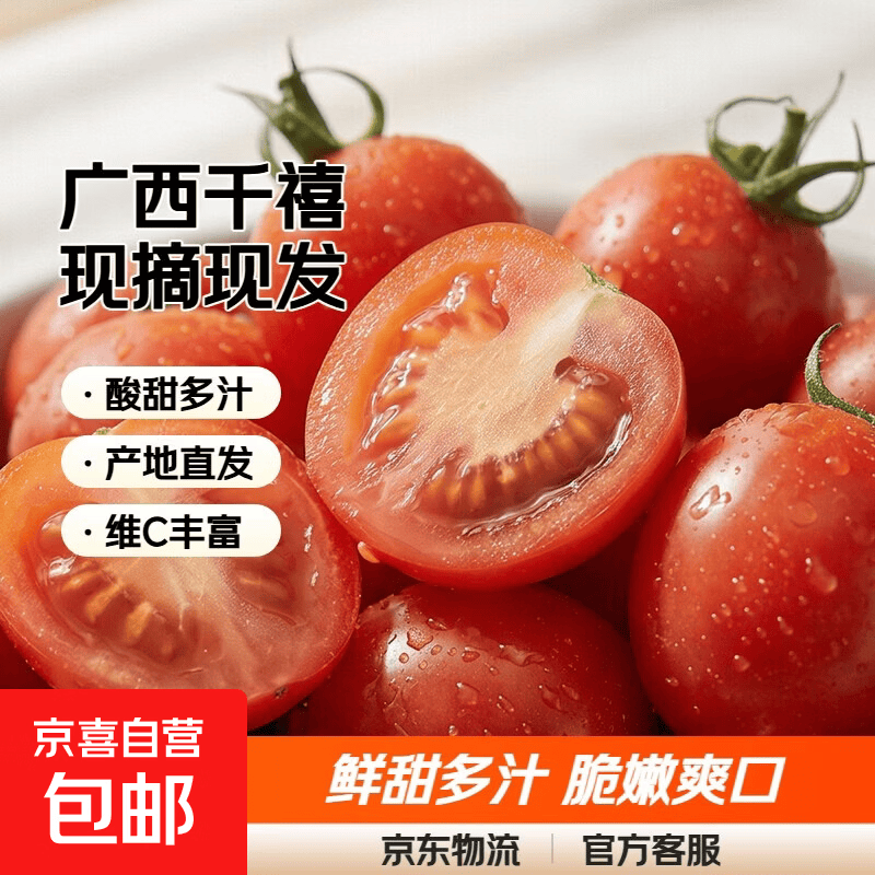 广西正宗千禧圣女果小番茄现摘现发新鲜直达 5斤