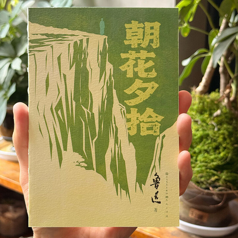 鲁迅精选集套装全6册 全新修订版 六色分册批注《呐喊》《彷徨》《朝花夕拾》《故事新编》《野草》《鲁迅