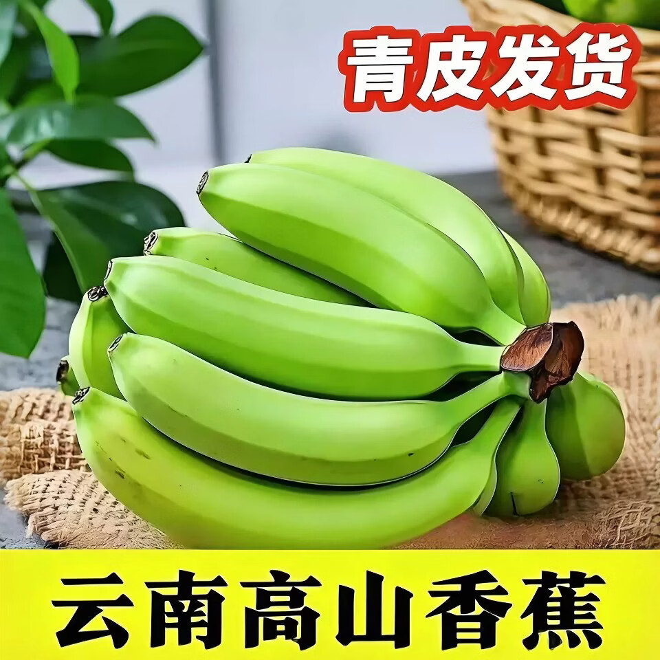 云南高山香蕉正宗2026新鲜水果整箱当季鲜自然熟粉蕉非小米苹果蕉 9斤净重8.5斤【需催熟】