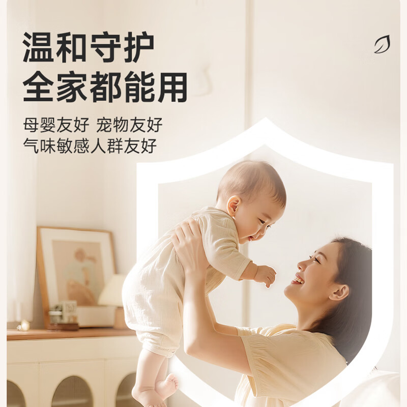 绿之源除甲醛室内去甲醛神器甲醛清除剂新车除甲醛除异味新车内除味除臭 强效持久除醛魔盒【一盒就够了】 150g 1盒