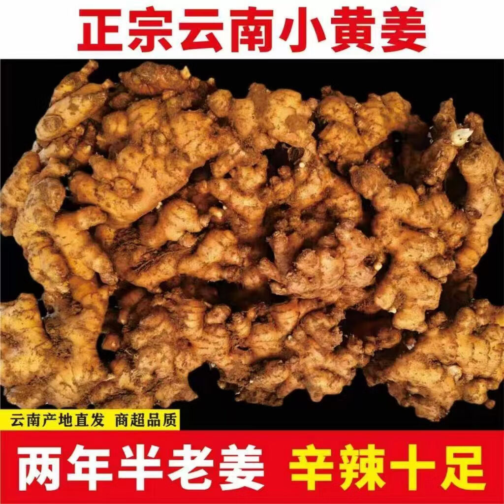 【云南小黄姜】新鲜现挖小黄姜两年特级小黄姜农家原生态带箱五斤 带箱五斤两年老姜