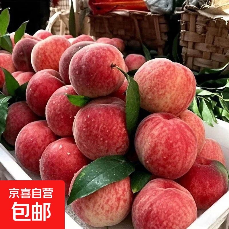 【头茬】湖北露天水蜜桃新鲜时令应急水果大毛桃子整箱 【尝鲜】带箱1斤中果（5-8粒单果70g+)